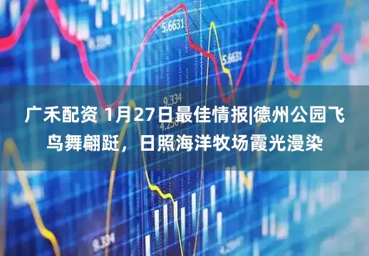 广禾配资 1月27日最佳情报|德州公园飞鸟舞翩跹，日照海洋牧场霞光漫染